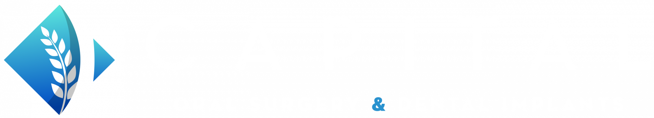 Capital Oral Surgery logo